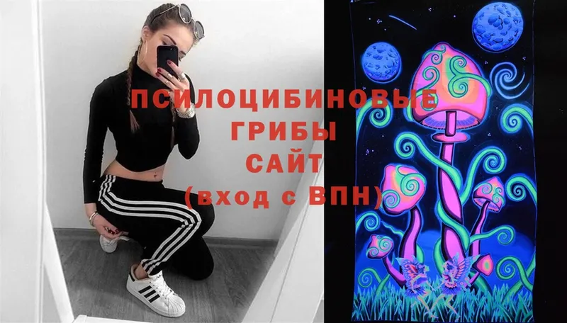 Псилоцибиновые грибы Magic Shrooms  Тобольск 